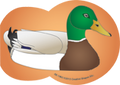 SHAPES ETC. Large Notepad - Mallard Duck