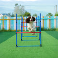 Dog Agility Training Set for Pets